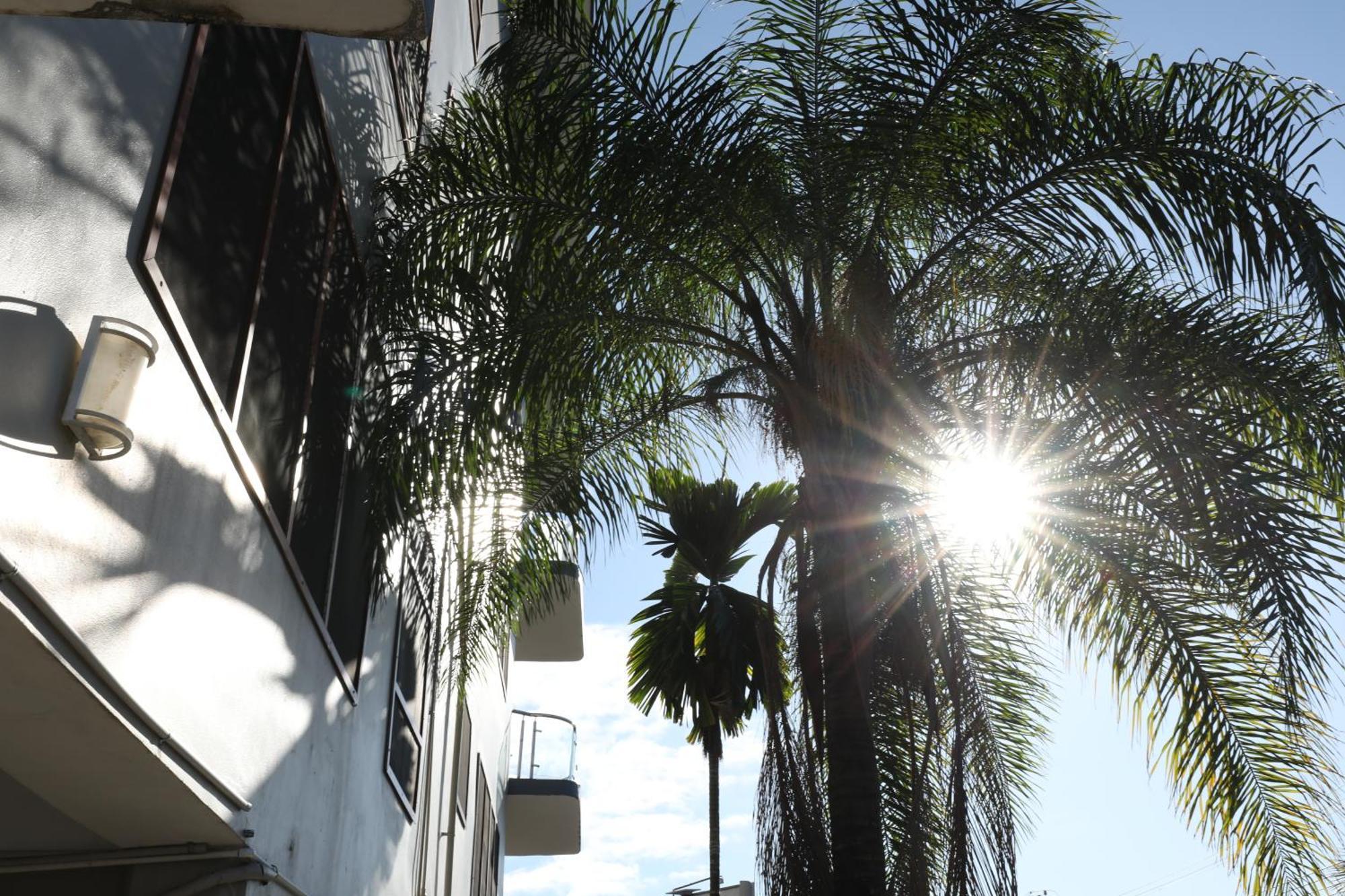 Tropical Plaza Apt Nadi Exterior photo